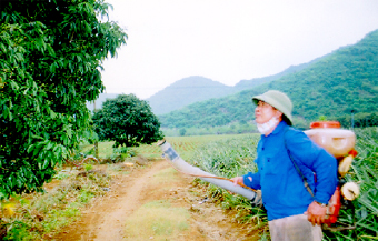Hội Nông dân thị xã Tam Điệp Chuyển biến rõ nét trong thực hiện Cuộc vận động